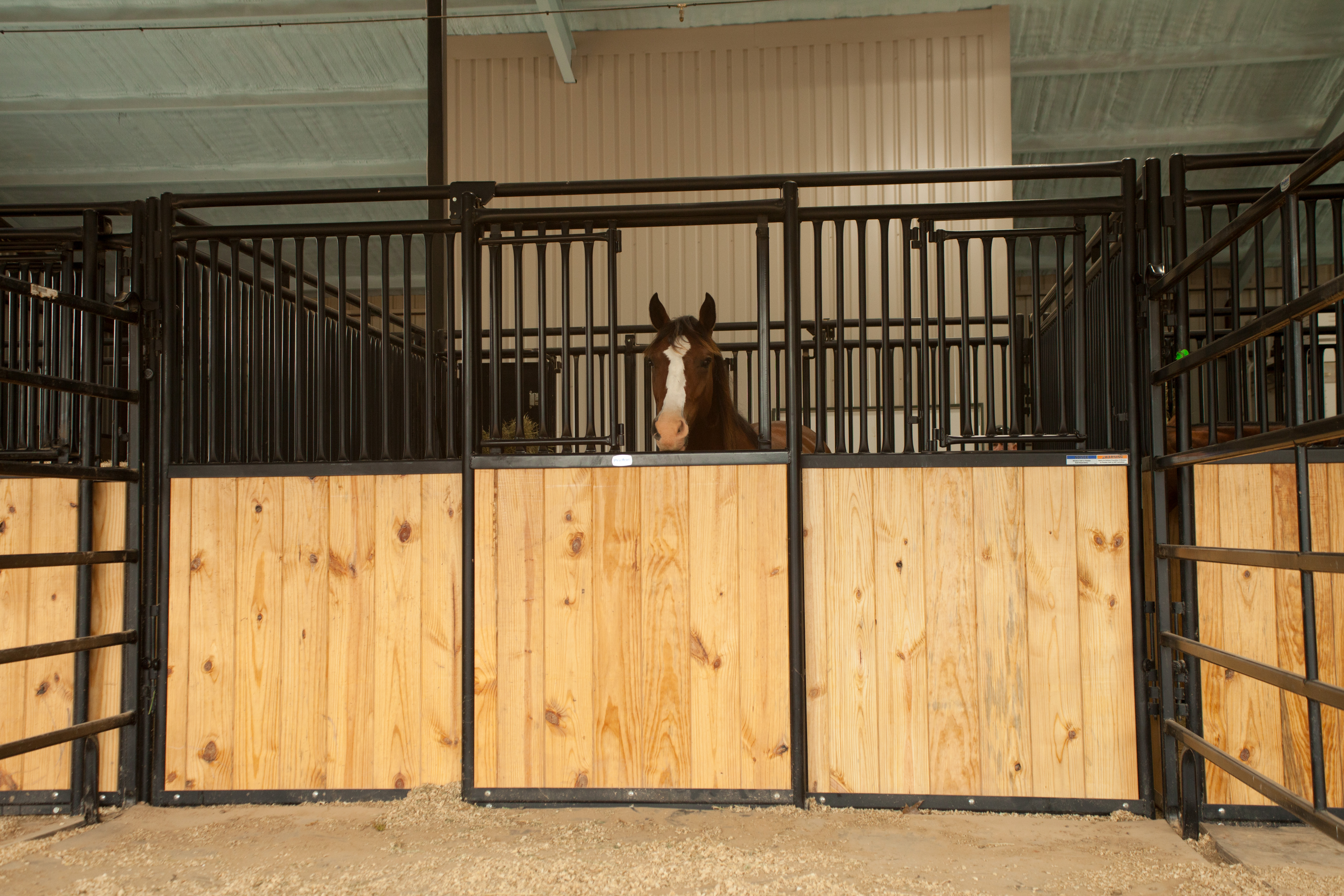 HSF HorseStalls Bynum 14.jpg